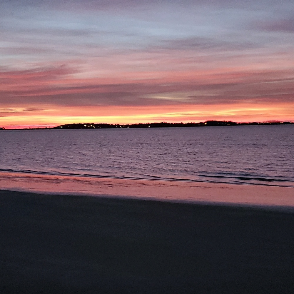 Hey! My name is Rose.